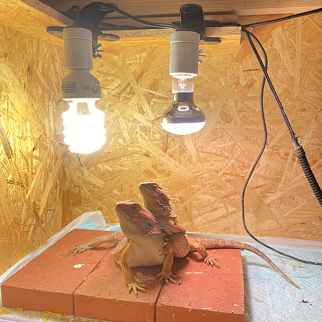 RIRIRIさんの実例写真