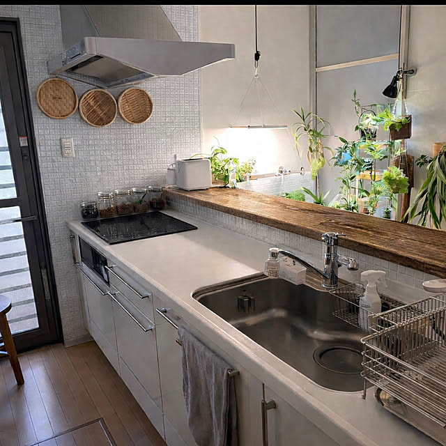 greycatsさんの部屋