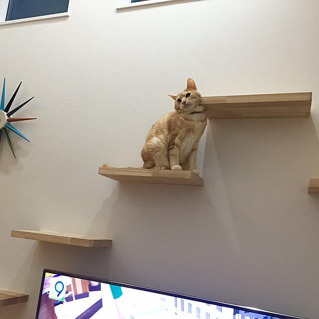 Minakoさんの実例写真