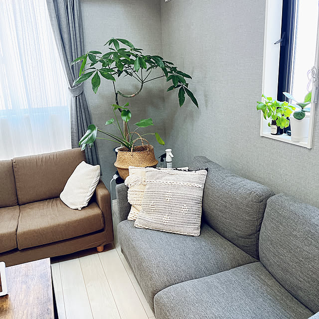 emuさんの部屋