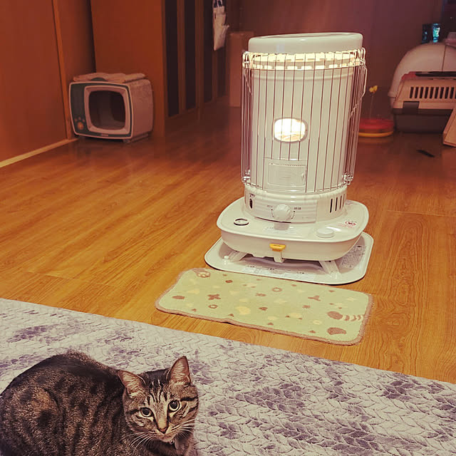 Fuyunoさんの実例写真