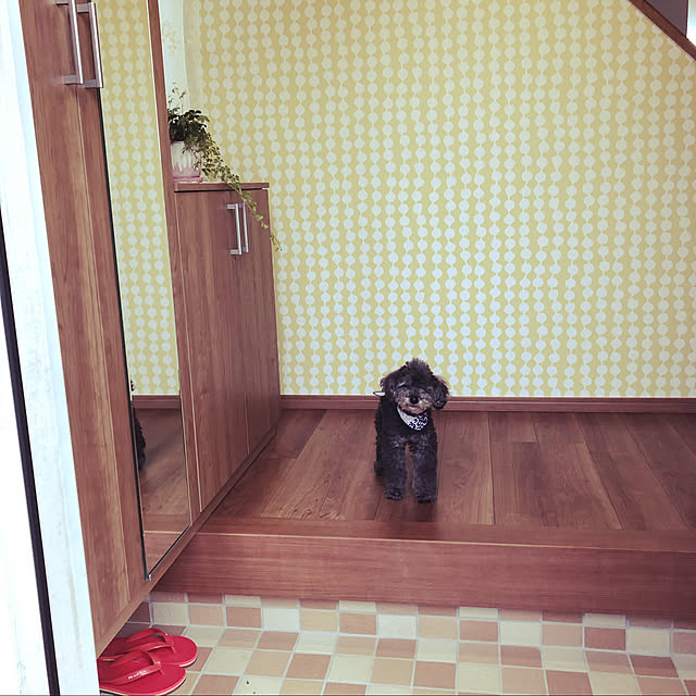 実例写真