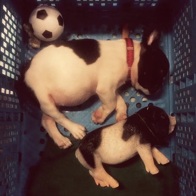 joseさんの実例写真