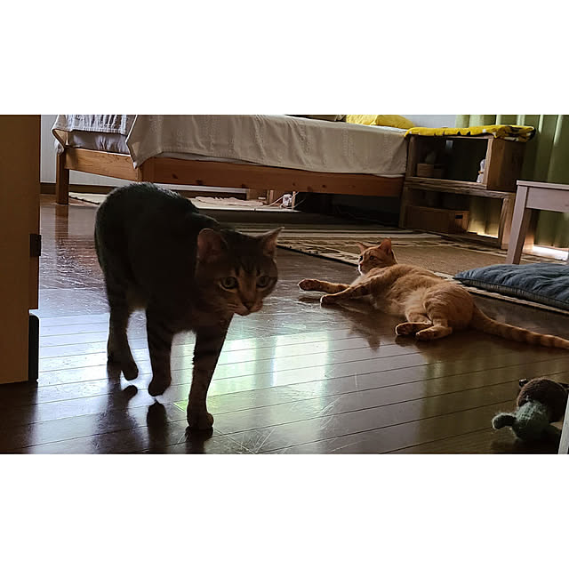 WOODPROさんの部屋