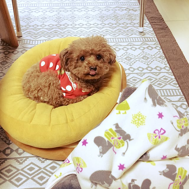 Momokoさんの実例写真