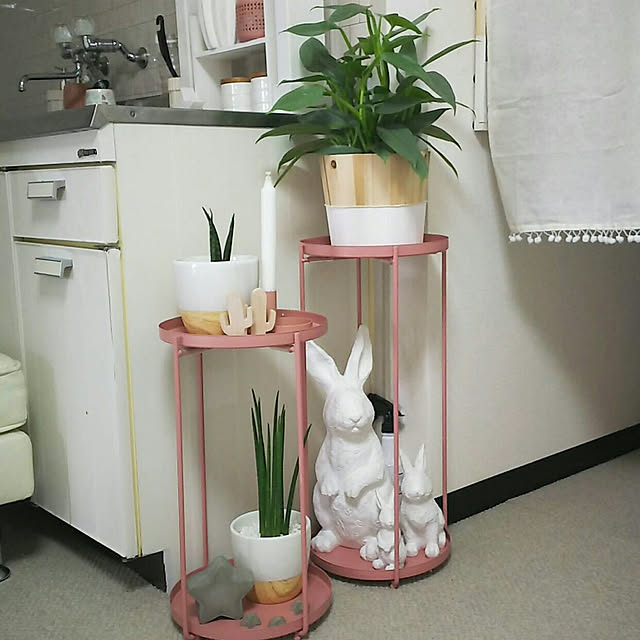 ...t_m_eee...さんの実例写真