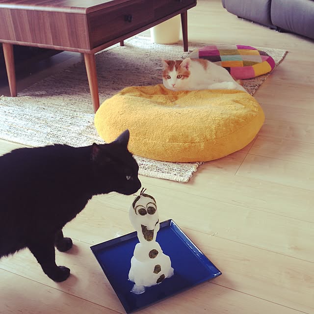 yuriireeenさんの実例写真