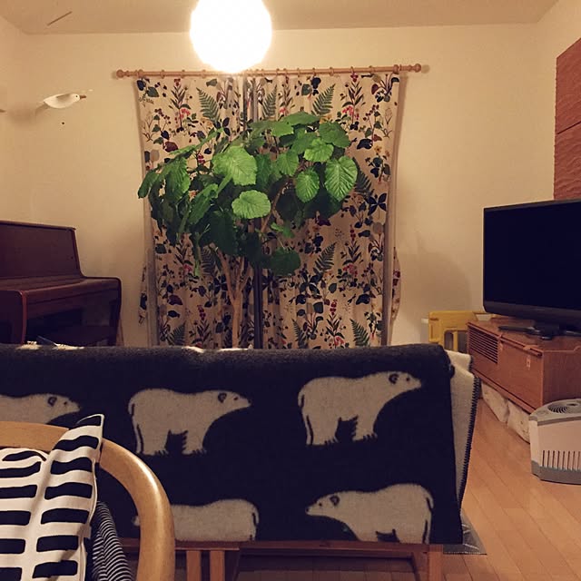 ymizさんの実例写真
