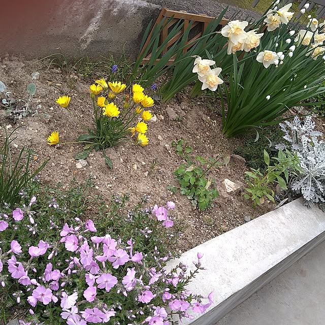 ameamekaasanさんの部屋