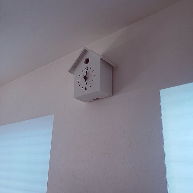 dropさんの実例写真