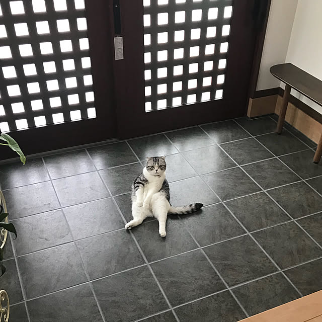 Dahliaさんの実例写真