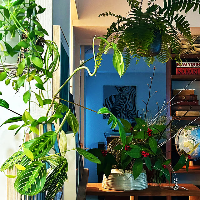 DAYONEさんの実例写真