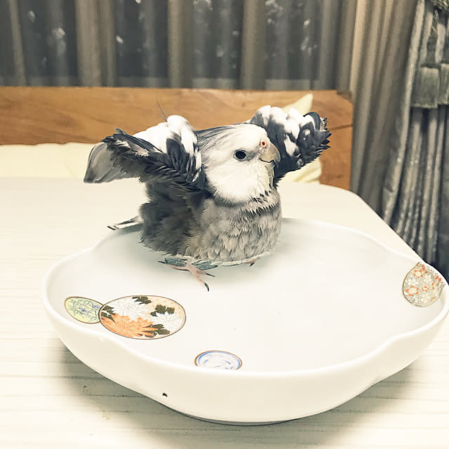 mukuさんの実例写真