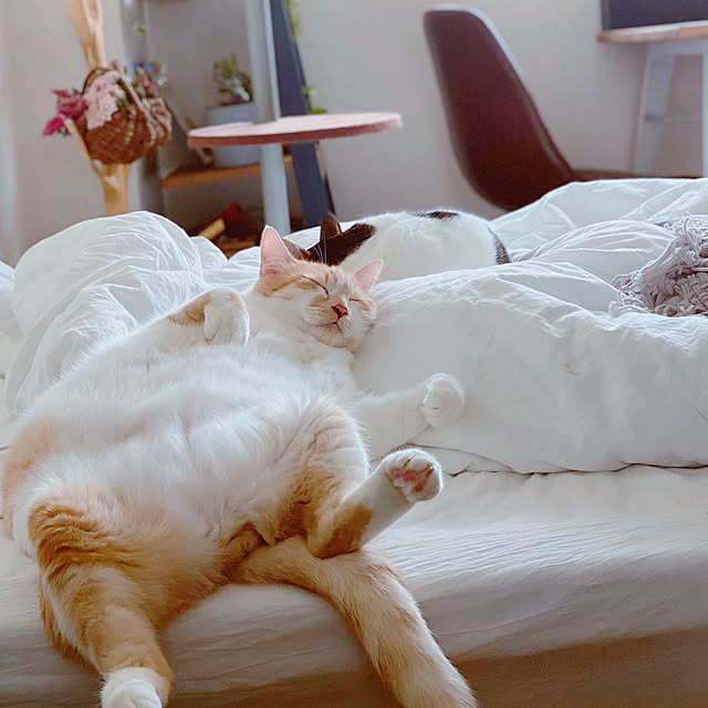 natsuさんの実例写真
