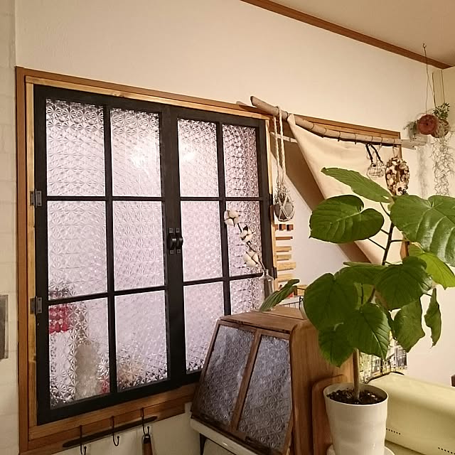 Lilyさんの実例写真
