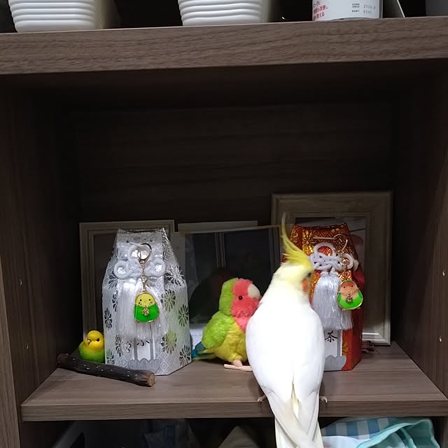 toratanさんの部屋