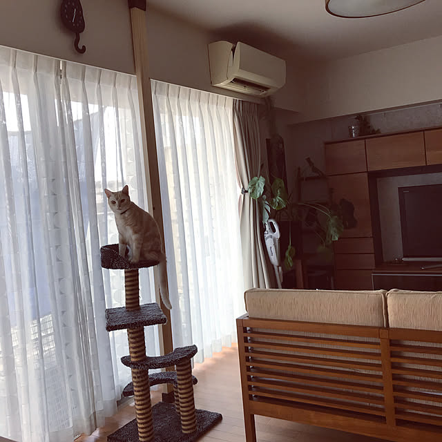 hiyupan88さんの実例写真
