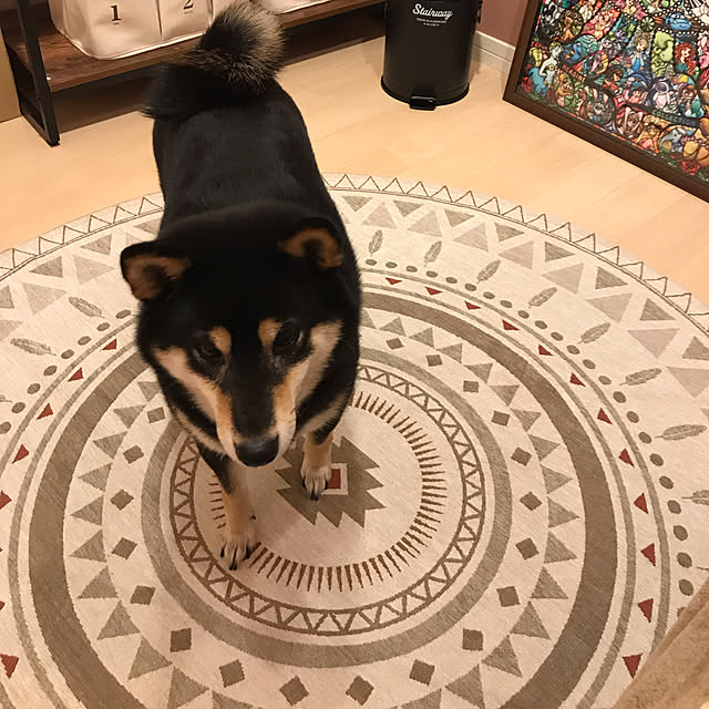 yoppyさんの実例写真