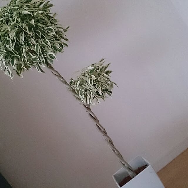 oudonさんの実例写真