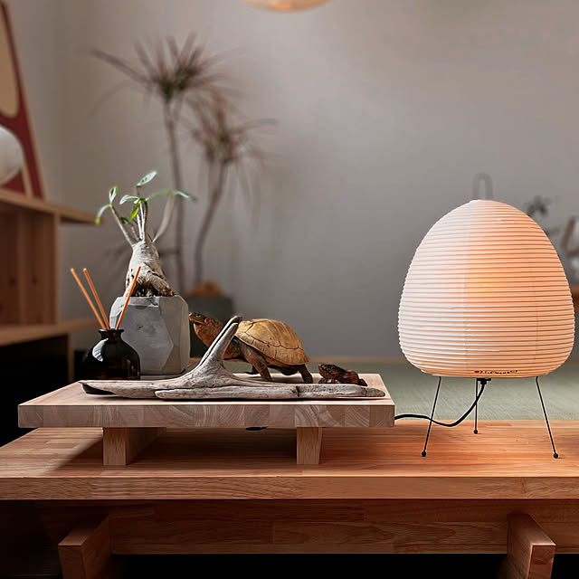 Philips_Hueのカバー写真