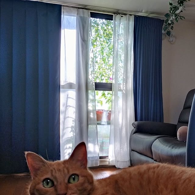NOAHさんの実例写真