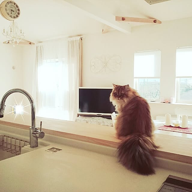 runaさんの実例写真