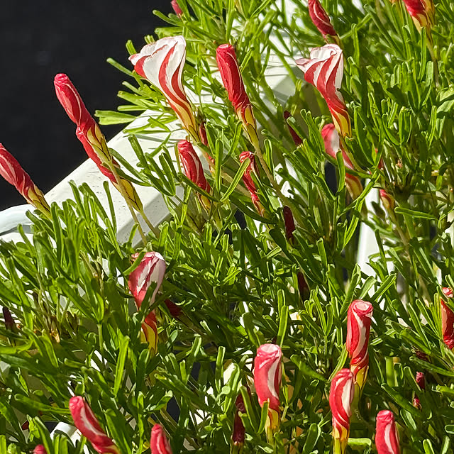 asako.10さんの部屋