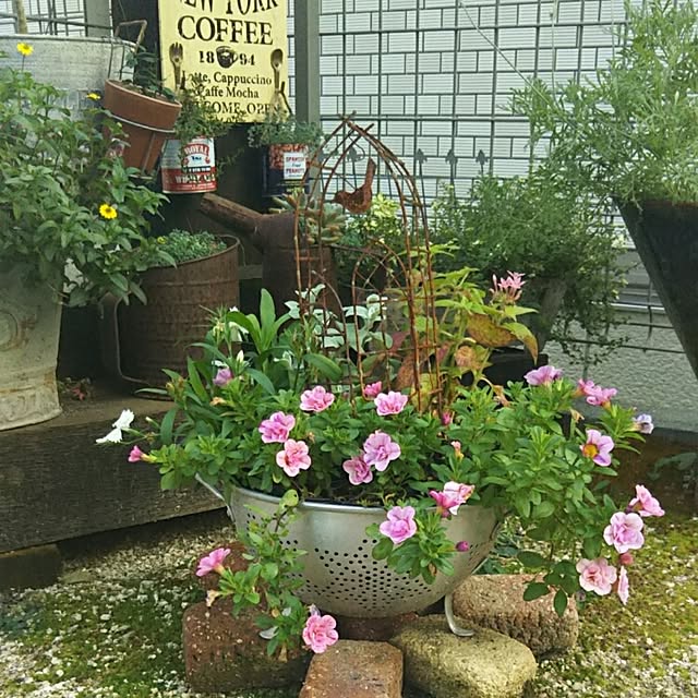 hi-yaさんの実例写真