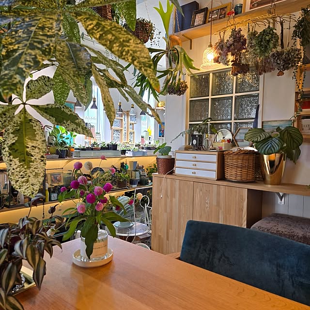 nonbiri_house_さんの部屋