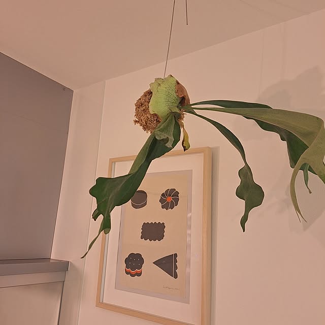 otokiさんの部屋
