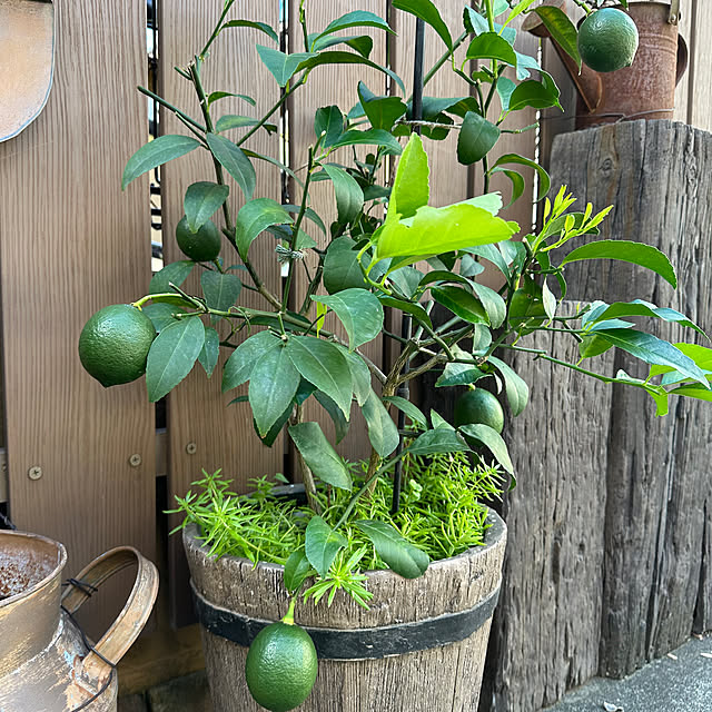 tabasaさんの部屋