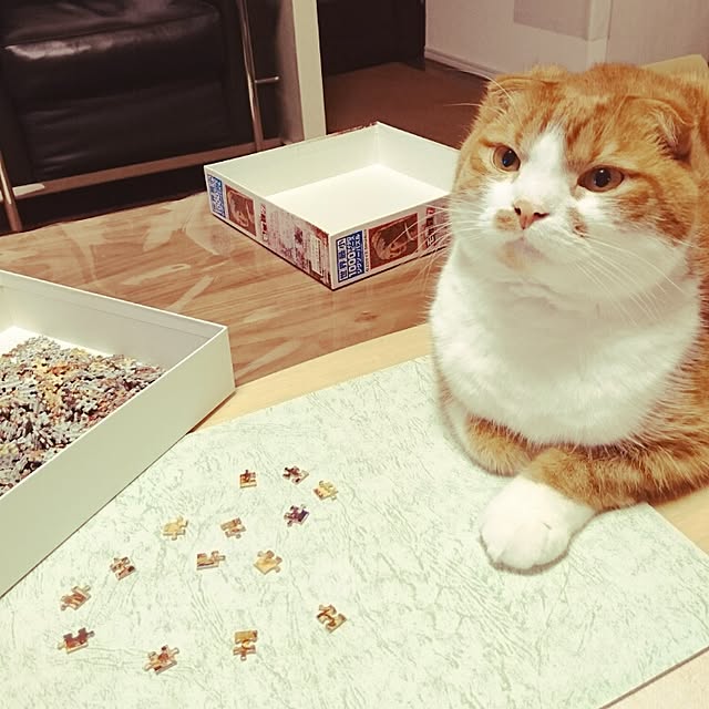 Sachiさんの実例写真