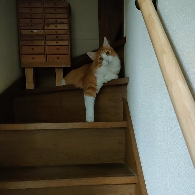 mori_6_12さんの実例写真