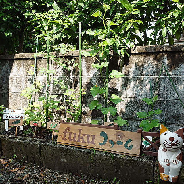 fukuさんの実例写真