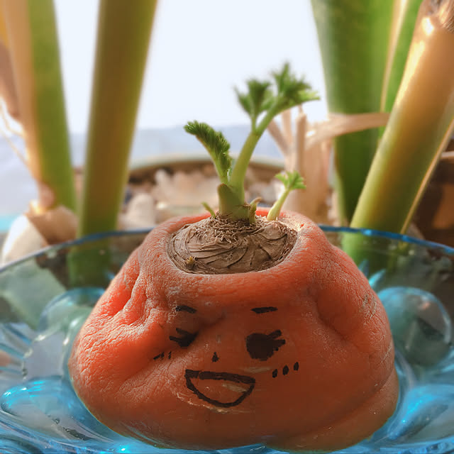 room7385さんの実例写真