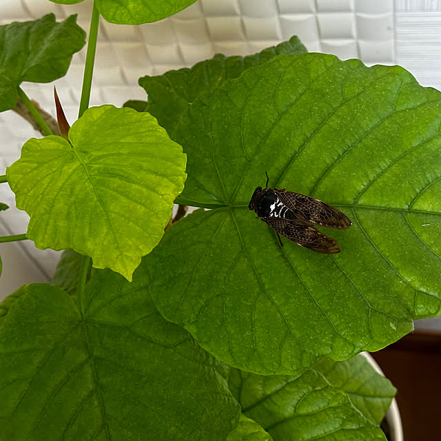 mizucchiさんの部屋