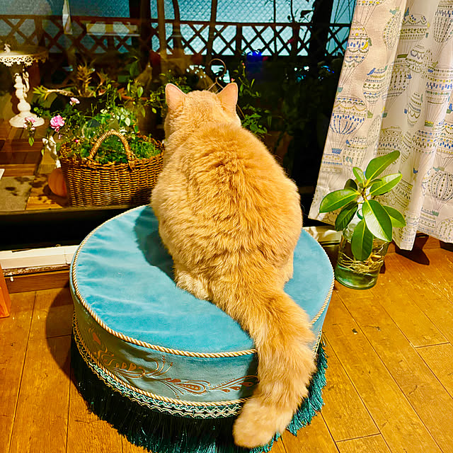 naokoさんの部屋