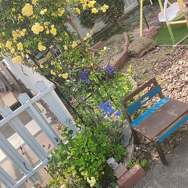 mind_komaさんの実例写真