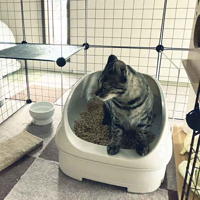 yunyumさんの実例写真