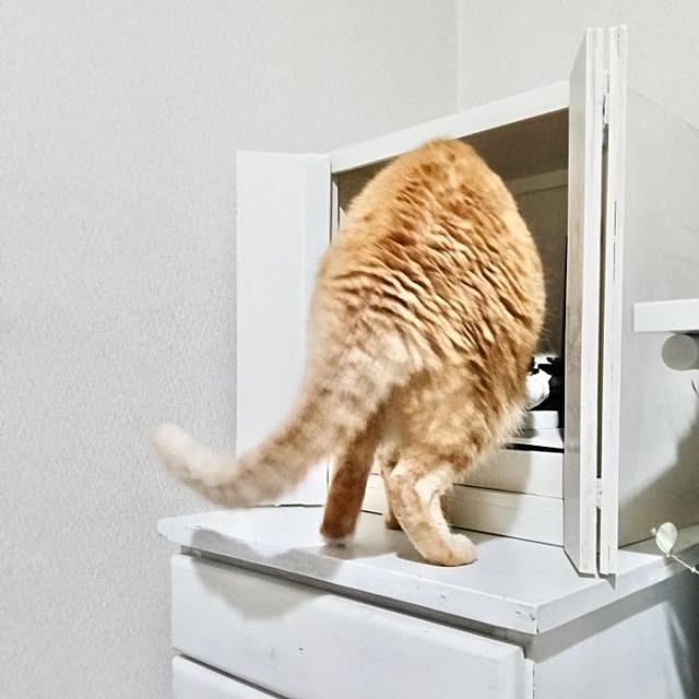 heart.emiemi57.whiteさんの実例写真