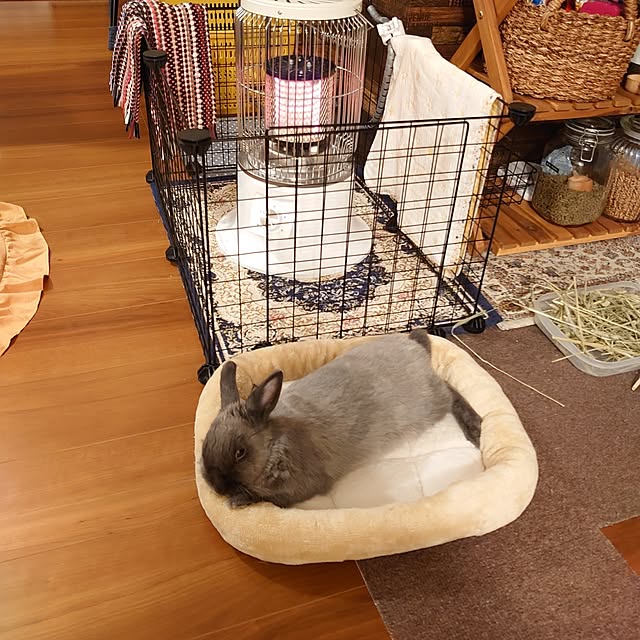 kirariさんの実例写真