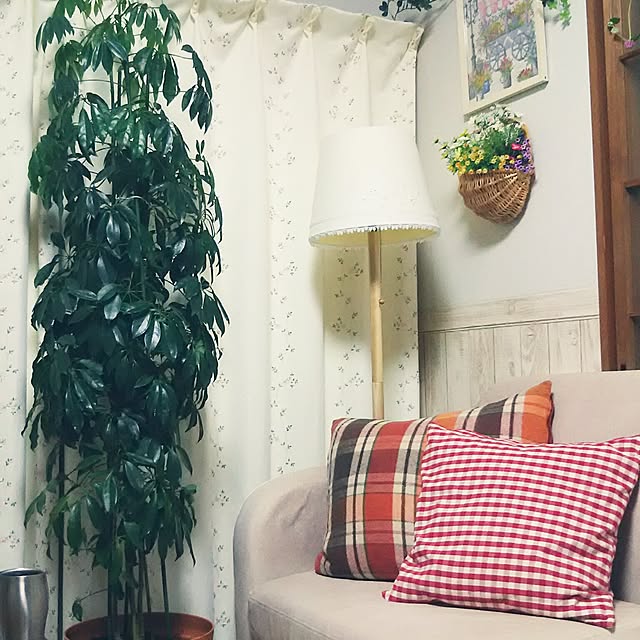 naopyiさんの実例写真