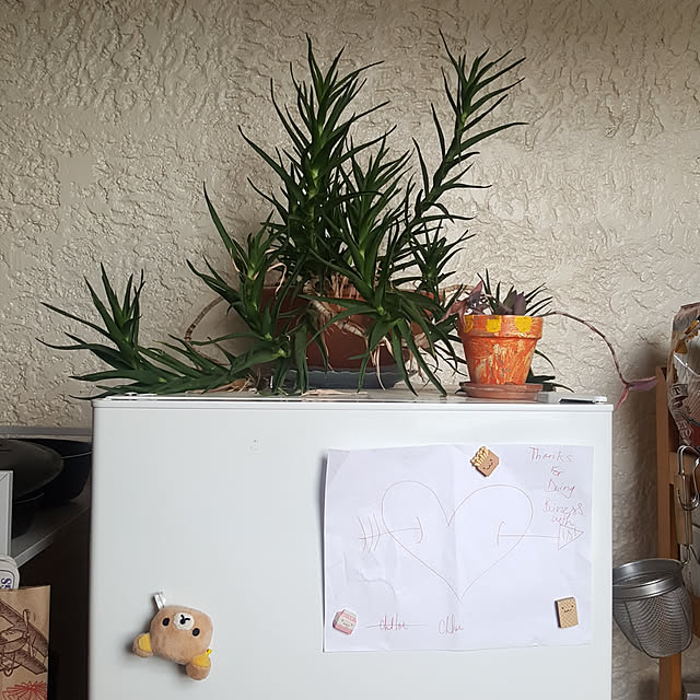 monkさんの実例写真
