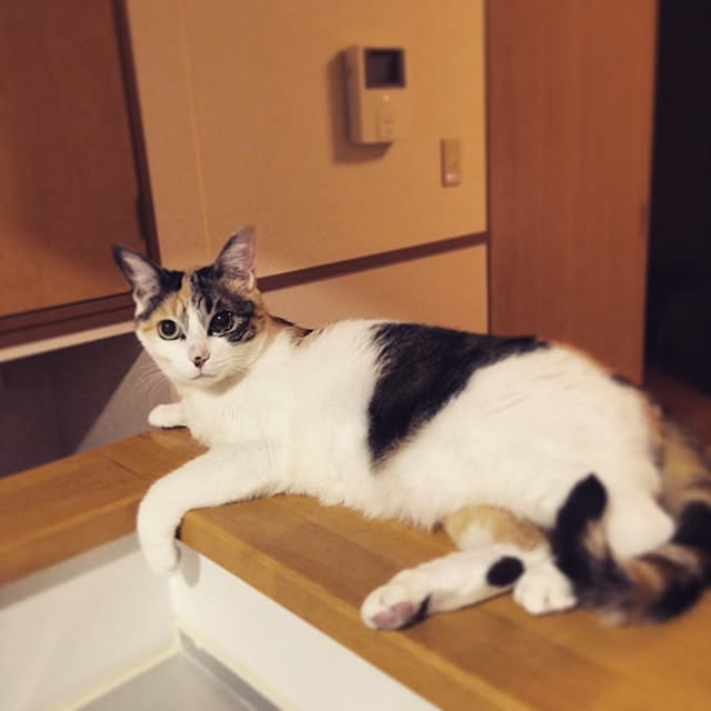 tacomozさんの実例写真