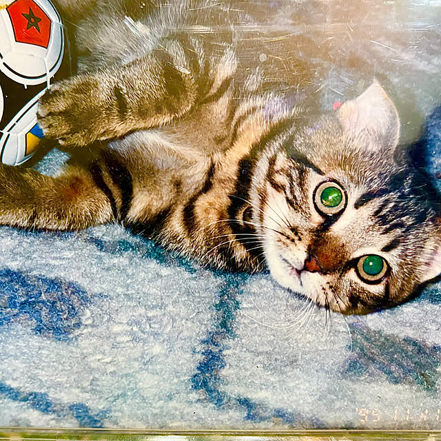tututu0204さんの実例写真