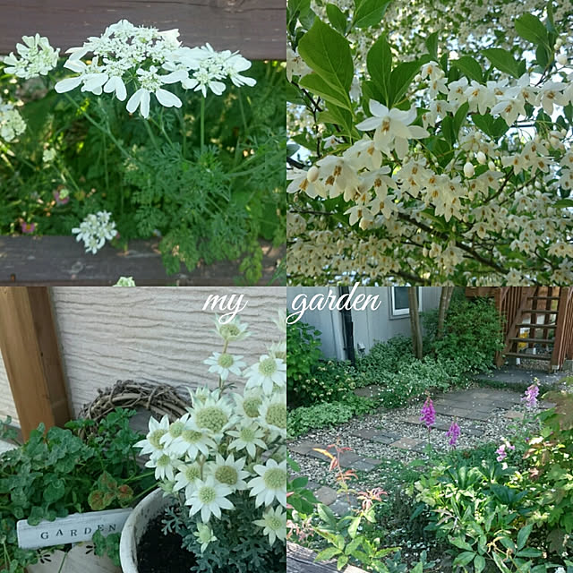 ai.happyplaceさんの実例写真
