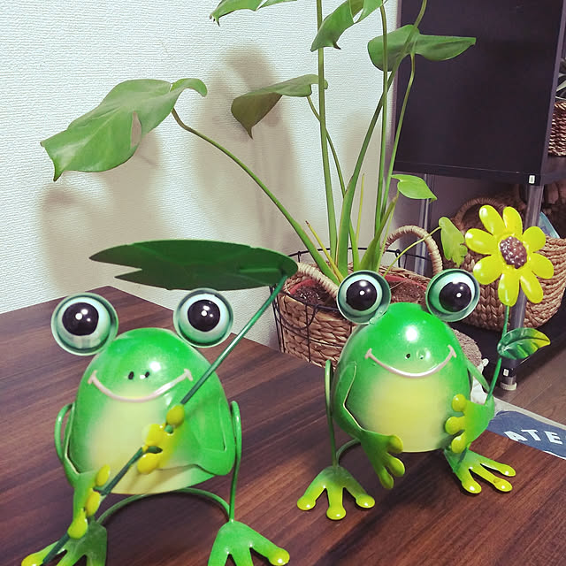 mikiboさんの実例写真