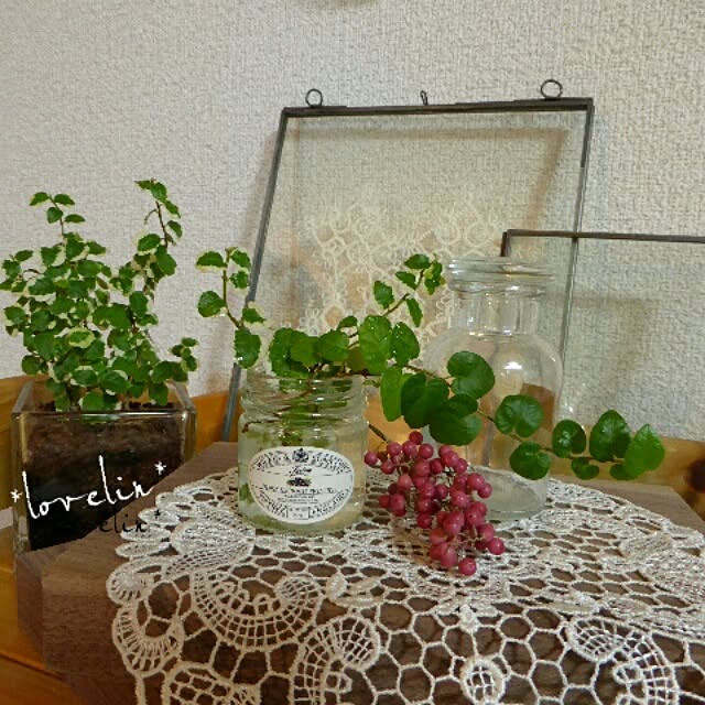 lovelinさんの実例写真