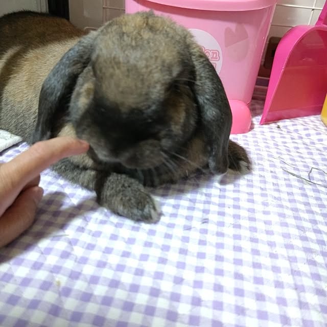 mariaさんの部屋