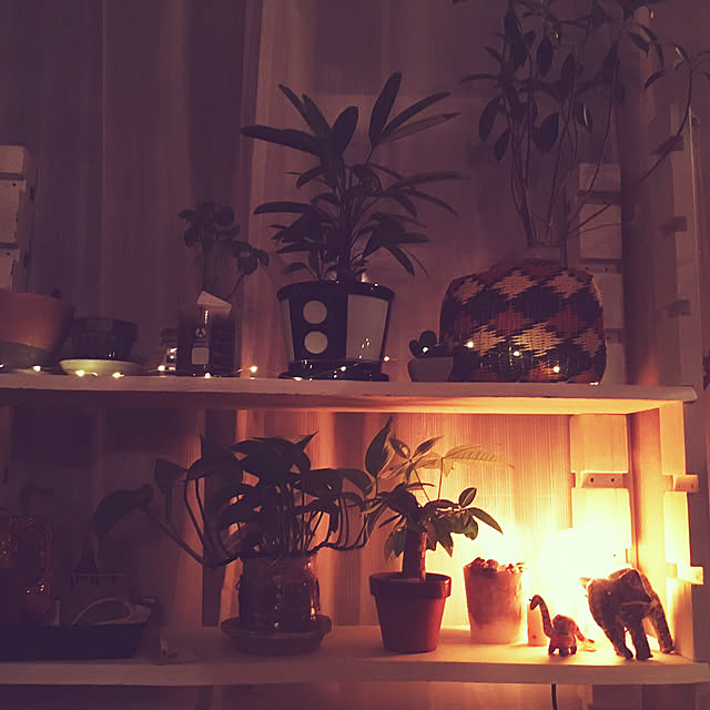 wtreeさんの実例写真